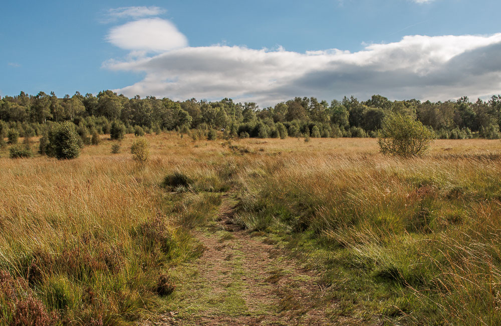 Birchen Edge Birchen Edge